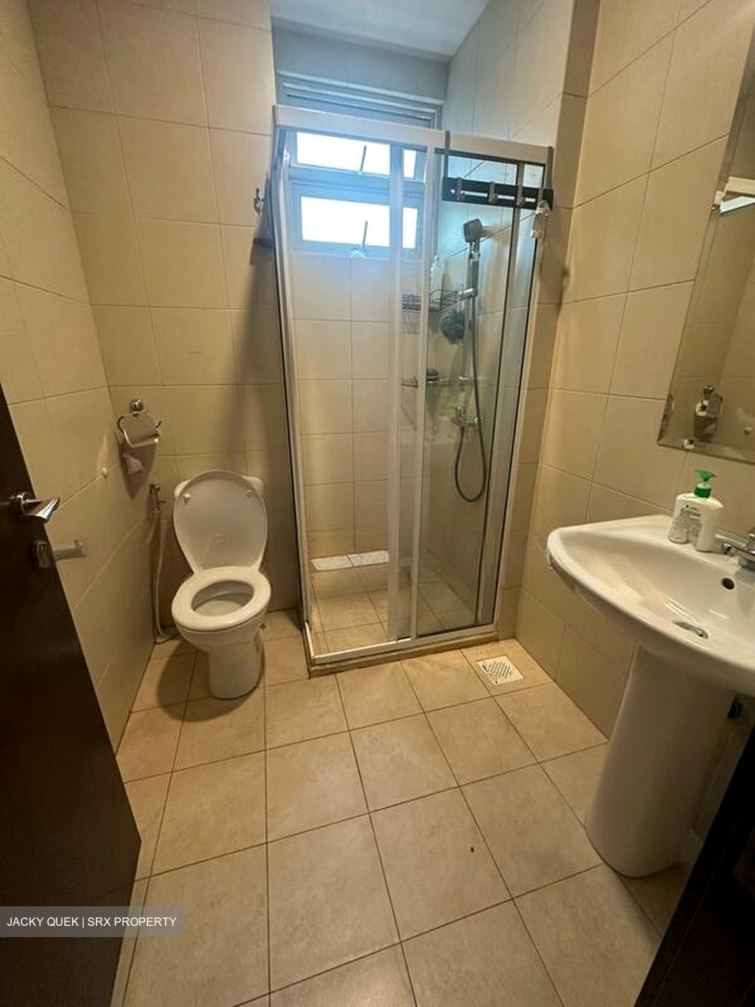 Apleton View (D11), Apartment #517575431